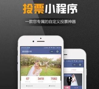 怎么找網(wǎng)站建設(shè)公司開發(fā)投票系統(tǒng)